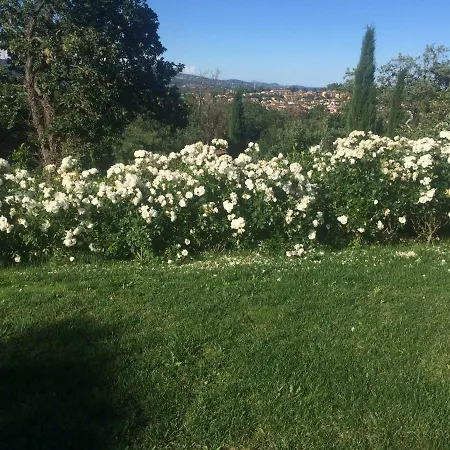 Le B Villa Cogolin