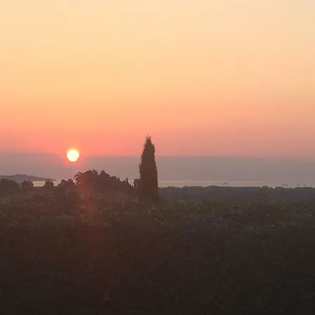 Le B Villa Cogolin